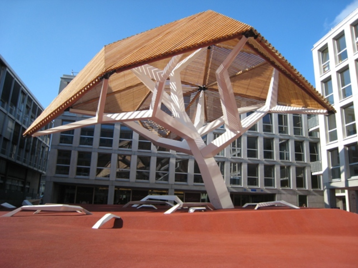 image-arbre-du-flon-lausanne